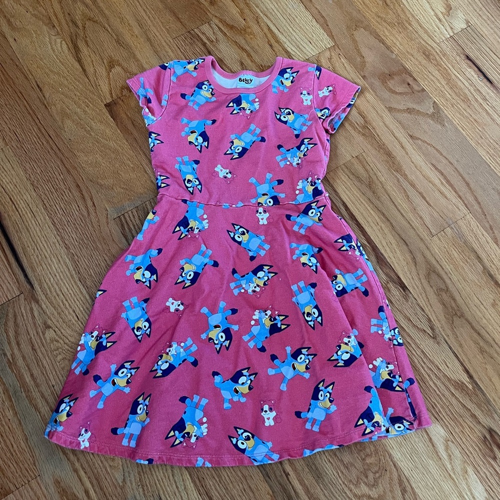 Bluey Pink Dress
